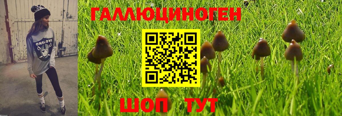 Псилоцибиновые грибы MAGIC MUSHROOMS Нововоронеж