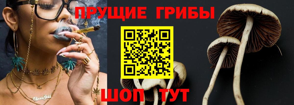 Псилоцибиновые грибы прущие грибы  Вход с VPN  купить   Нововоронеж 